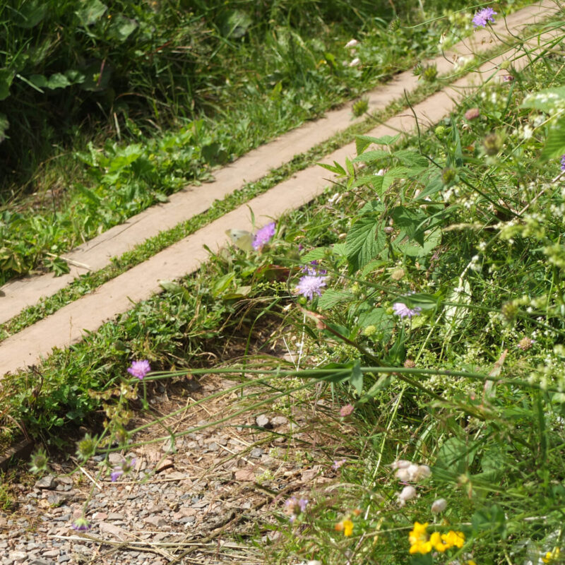 4 saisons Montb&eacute;liard 2