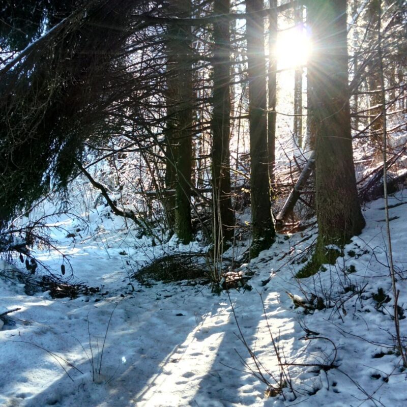 4 saisons Wittelsheim 9