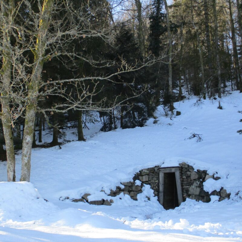 4 saisons Luxeuil-les-Bains 10