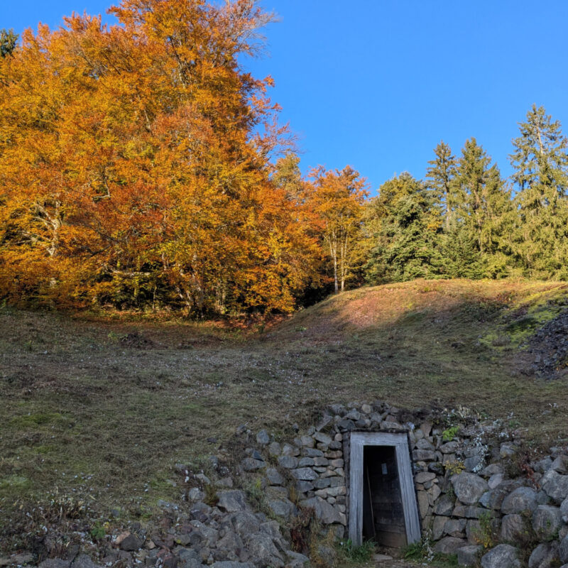 4 saisons Soultz-Haut-Rhin 8