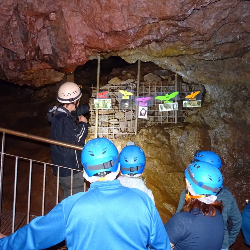 NICS 2 800X800 | Les Hautes-Mynes Évènementiel Belfort 11