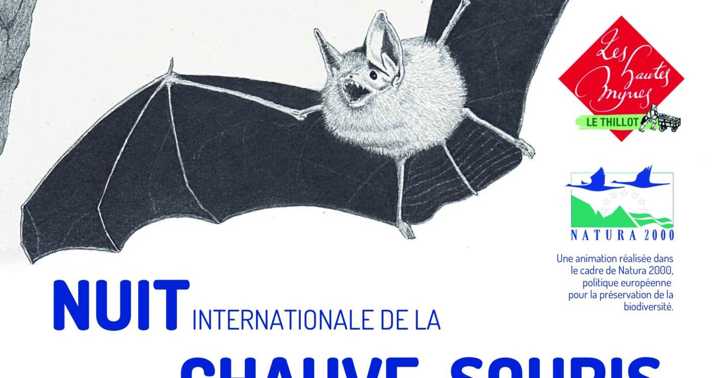 LES HAUTES MYENS NUIT_CS_2026 1415X750 | Les Hautes-Mynes Nuit internationale de la chauve-souris – vendredi 24 juillet Belfort