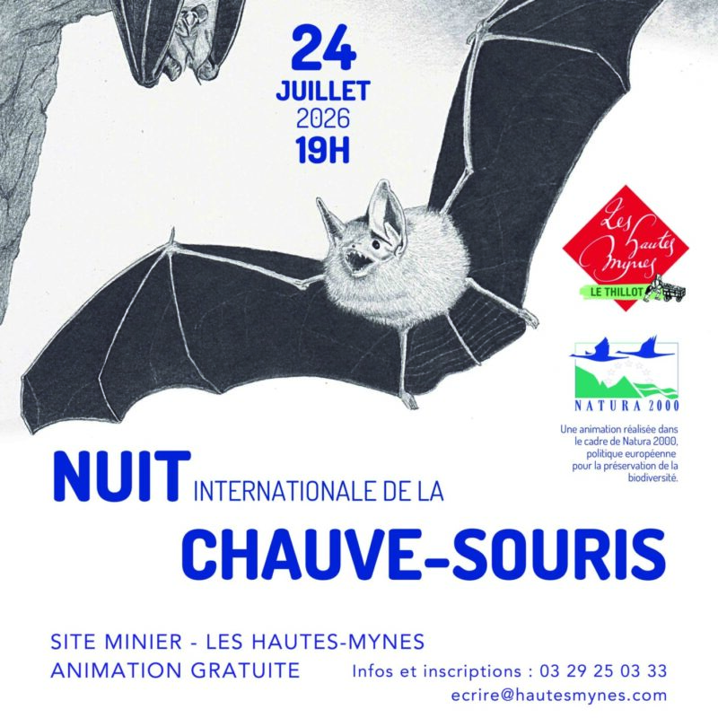 Nuit internationale de la chauve-souris – vendredi 24 juillet Belfort