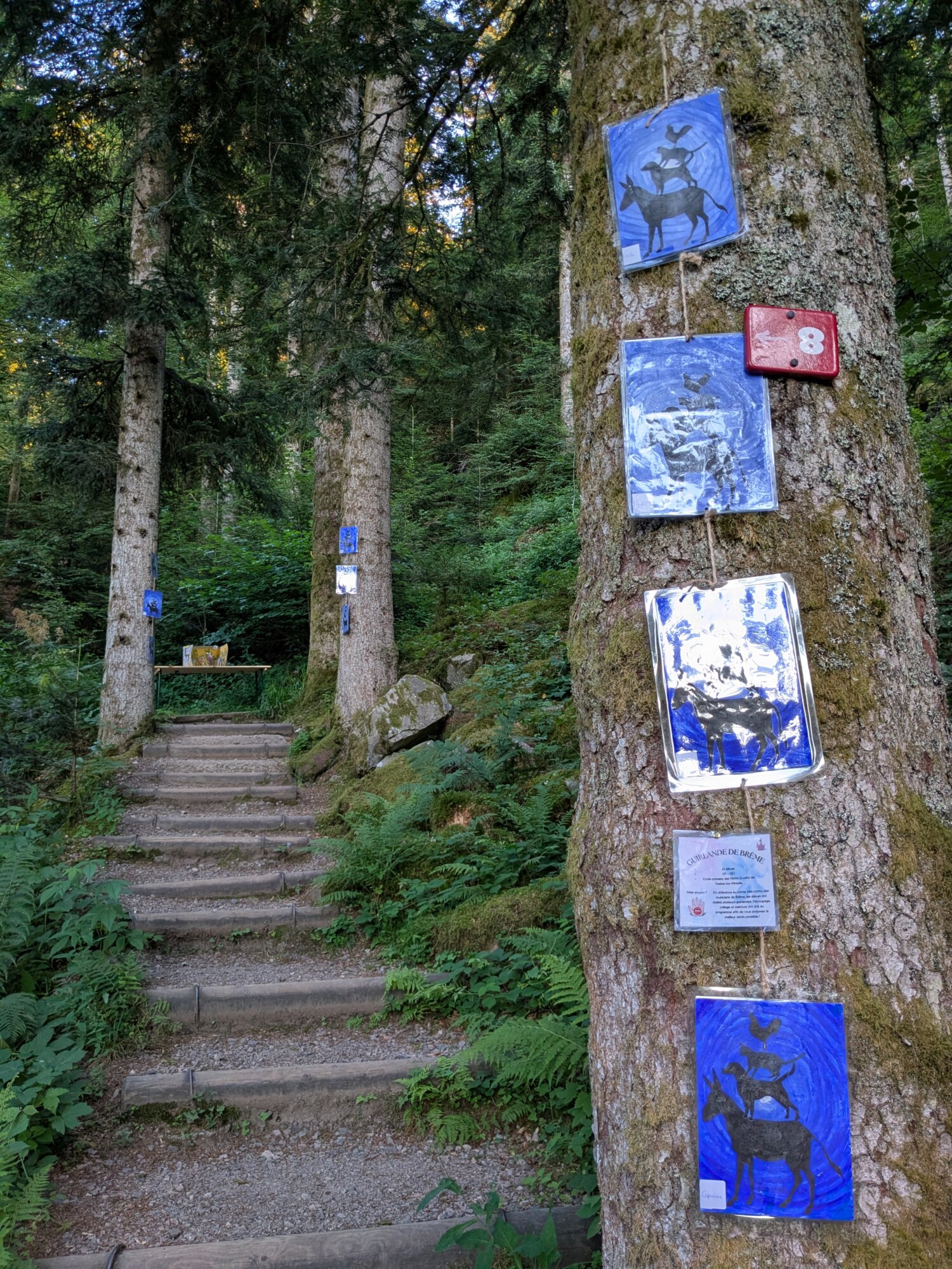 PXL_20250628_191926199 | Les Hautes-Mynes Mynes & une Nuit – 1ère édition – retour en image Belfort 1