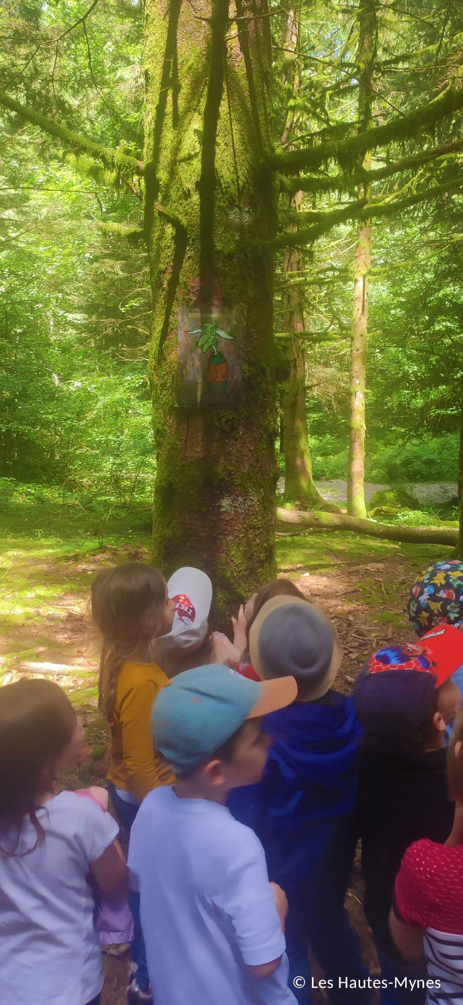 LES HAUTES MYNES CLSH 3 | Les Hautes-Mynes Groupes Enfants Loisirs Luxeuil-les-Bains 1